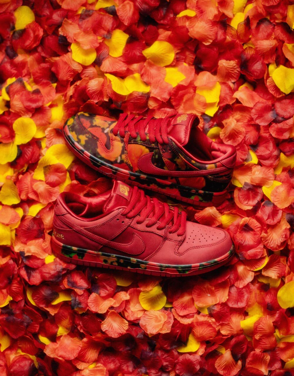 Nike SB 'Wizard of Oz' Dunk Low Pro QS Skate Shoes - Gym Red/University Red-Multi-Color