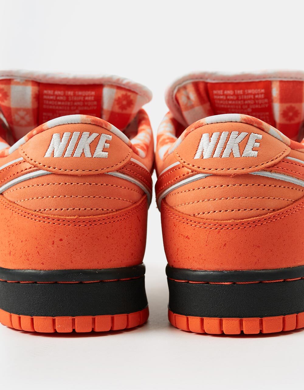 concepts x nike sb dunk low og qs